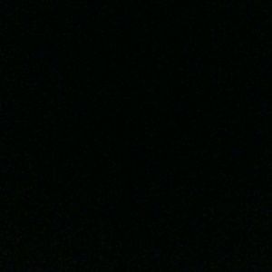 Meet your Posher, Kelsie